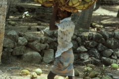 Kovalam - Kerala - India - 1983 - Foto: Ole Holbech