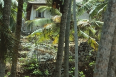 Kovalam - Kerala - India - 1983 - Foto: Ole Holbech