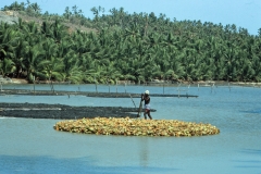 Kovalam - Kerala - India - 1983 - Foto: Ole Holbech