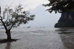 Railay Beach - Krabi - Thailand - 2015 - Foto: Ole Holbech