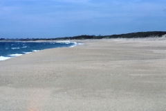 Panama Beach - Kumana – Sri Lanka – 1983 - Foto: Ole Holbech