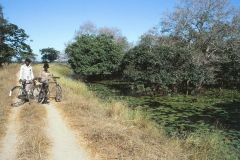 Panama Tank - Kumana – Sri Lanka – 1983 - Foto: Ole Holbech