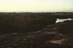 Panama - Kumana – Sri Lanka – 1983 - Foto: Ole Holbech