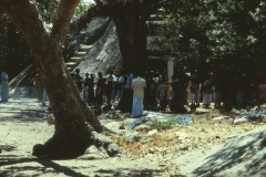 Okanda - Kumana – Sri Lanka – 1983 - Foto: Ole Holbech