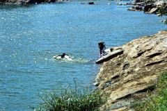 Lewella – Sri Lanka – 1983 - Foto: Ole Holbech