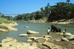 Lewella – Sri Lanka – 1983 - Foto: Ole Holbech