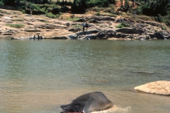 Lewella – Sri Lanka – 1983 - Foto: Ole Holbech