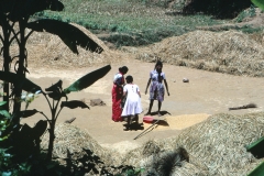 Lewella – Sri Lanka – 1983 - Foto: Ole Holbech