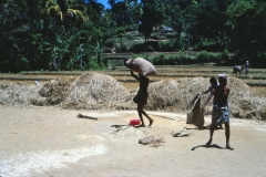 Lewella – Sri Lanka – 1983 - Foto: Ole Holbech