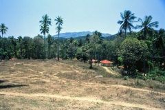 Lewella – Sri Lanka – 1983 - Foto: Ole Holbech