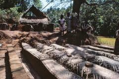 Lewella – Sri Lanka – 1983 - Foto: Ole Holbech