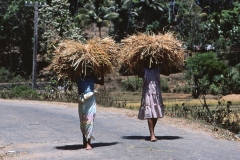 Lewella – Sri Lanka – 1983 - Foto: Ole Holbech