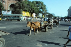 Madras - Chennai - India - 1983 - Foto: Ole Holbech