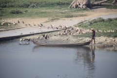 Pont U-Bein Bridge - Mandalay – Myanmar – Burma – 2019