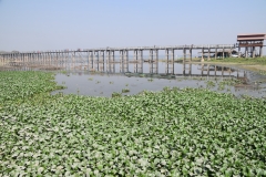 Pont U-Bein Bridge - Mandalay – Myanmar – Burma – 2019