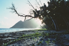 Martinique - 1981 - Foto: Ole Holbech