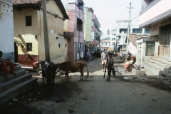 Mysore / Mysuru - India - 1983 - Foto: Ole Holbech