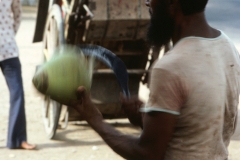 Seringapatam - India - 1983 - Foto: Ole Holbech