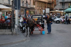 Napoli - Italy - 2013 - Foto: Ole Holbech