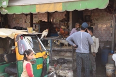 New Delhi - India - 2018 - Foto: Ole Holbech