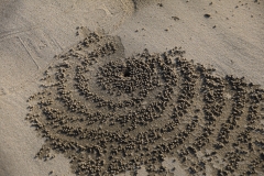 Ngapali Beach - Myanmar - Burma - 2019