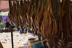 Ngapali Beach - Myanmar - Burma - 2019