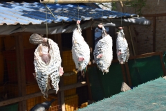 Ngapali Beach - Myanmar - Burma - 2019