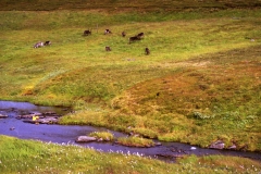 Nordkapp – Norge – 1989 - Foto: Ole Holbech