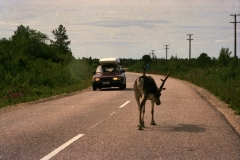 Nordkapp – Norge – 1989 - Foto: Ole Holbech