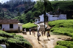 Labookellie Group - Nuwara Eliya - Sri Lanka - 1987 - Foto: Ole Holbech