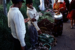 Nuwara Eliya - Sri Lanka - 1987 - Foto: Ole Holbech