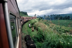 Nuwara Eliya - Sri Lanka - 1987 - Foto: Ole Holbech