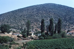 Peloponnes - Greece - 1979 - Foto: Ole Holbech