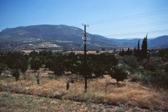 Peloponnes - Greece - 1979 - Foto: Ole Holbech