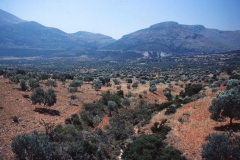 Peloponnes - Greece - 1979 - Foto: Ole Holbech