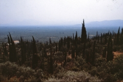 Peloponnes - Greece - 1979 - Foto: Ole Holbech