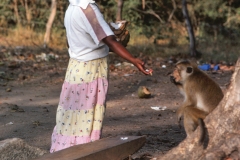 Polonaruwa - Sri Lanka - 1983 - Foto: Ole Holbech