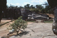 Polonaruwa - Sri Lanka - 1983 - Foto: Ole Holbech