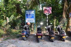 Radhanagar Beach - Andaman Islands - India - 2018 - Foto: Ole Holbech