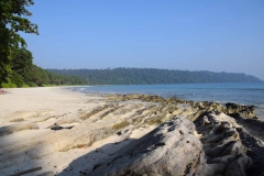 Radhanagar Beach - Andaman Islands - India - 2018 - Foto: Ole Holbech