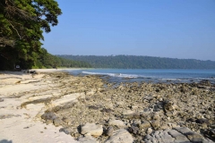 Radhanagar Beach - Andaman Islands - India - 2018 - Foto: Ole Holbech