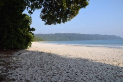 Radhanagar Beach - Andaman Islands - India - 2018 - Foto: Ole Holbech