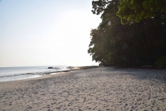 Radhanagar Beach - Andaman Islands - India - 2018 - Foto: Ole Holbech