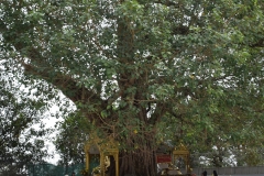 Shwedagon-pagoden - Rangoon - Myanmar - Burma - 2019