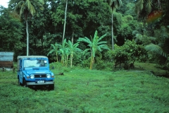 Requin Bay - Grenada - 1981 - Foto: Ole Holbech