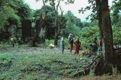 Requin Bay - Grenada - 1981 - Foto: Ole Holbech