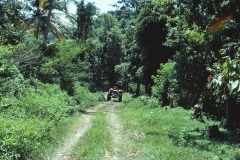 Requin Bay - Grenada - 1981 - Foto: Ole Holbech