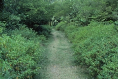 Requin Bay - Grenada - 1981 - Foto: Ole Holbech