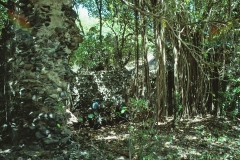 Saint Vincent and the Grenadines - 1981 - Foto: Ole Holbech