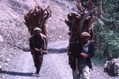 Satpara - Kashmir - 1983 - Foto: Ole Holbech